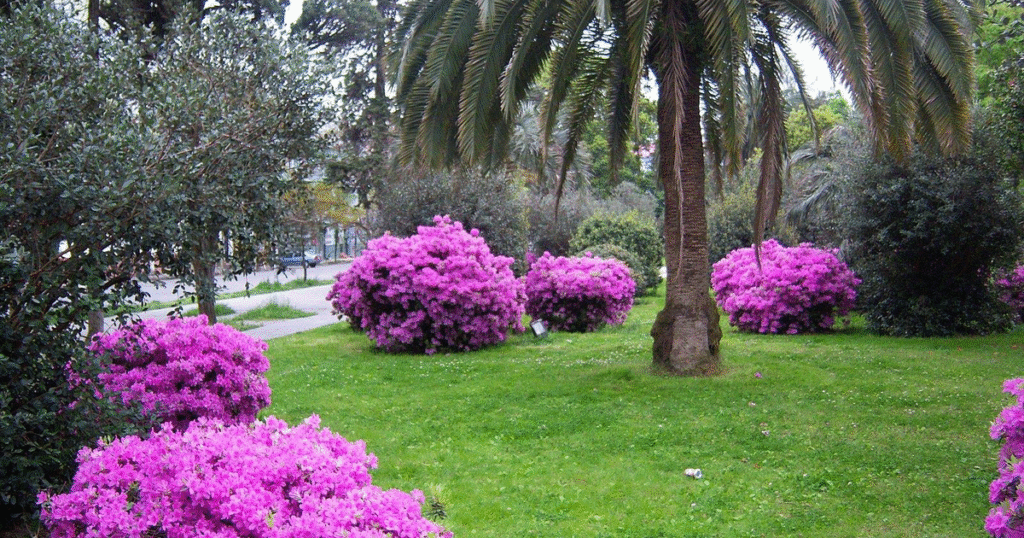 افضل الاماكن السياحية في باتومي