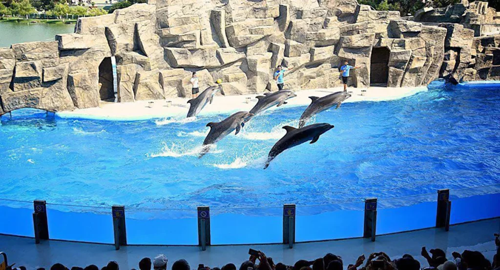 افضل الاماكن السياحية في باتومي