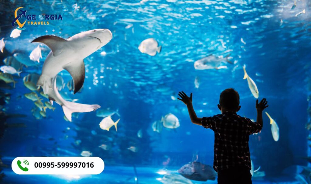 أكواريوم باتومي 