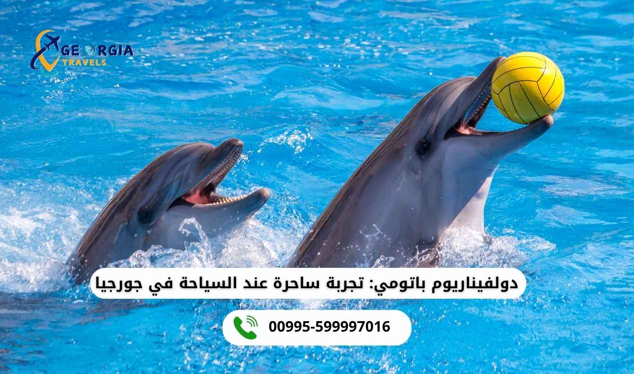 دولفيناريوم باتومي