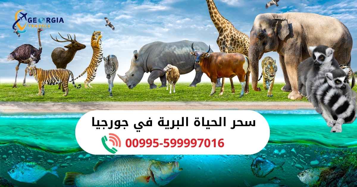 الحياة البرية في جورجيا